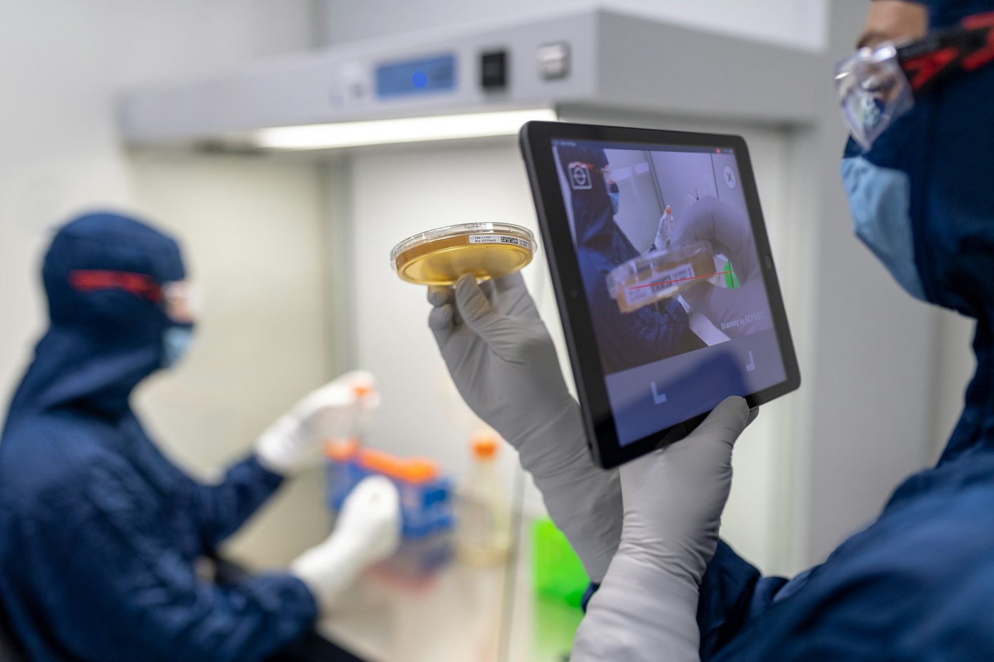 Lab technician examines a petri dish with a tablet.